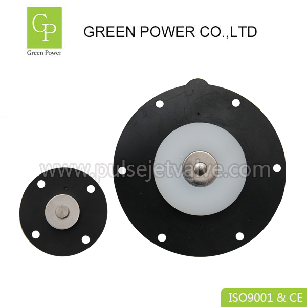 آئي ايم جي_5297